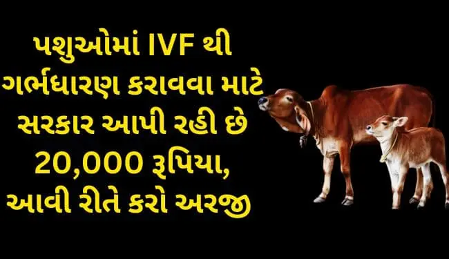 Animal IVF Assistance Scheme in Gujarat